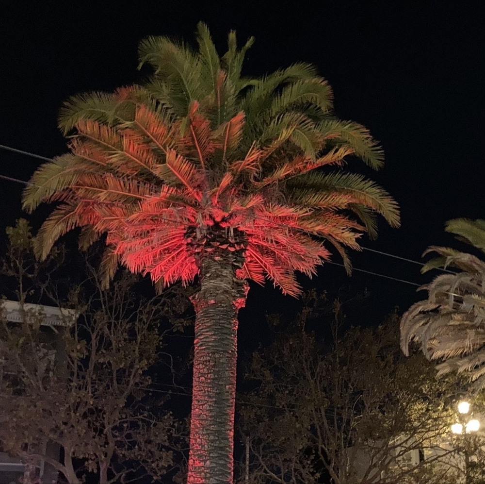 📜 - Picture 4 of 6